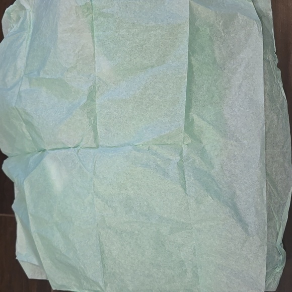 Alligator Halloween Or Gator Fan. NWOT - Picture 8 of 8